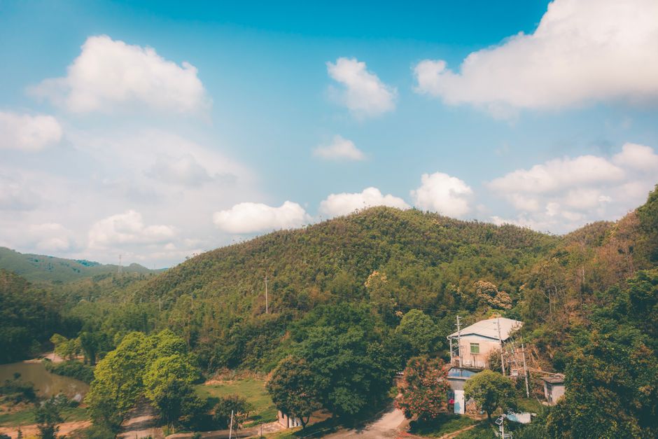 国际学生保险卡与医疗文件