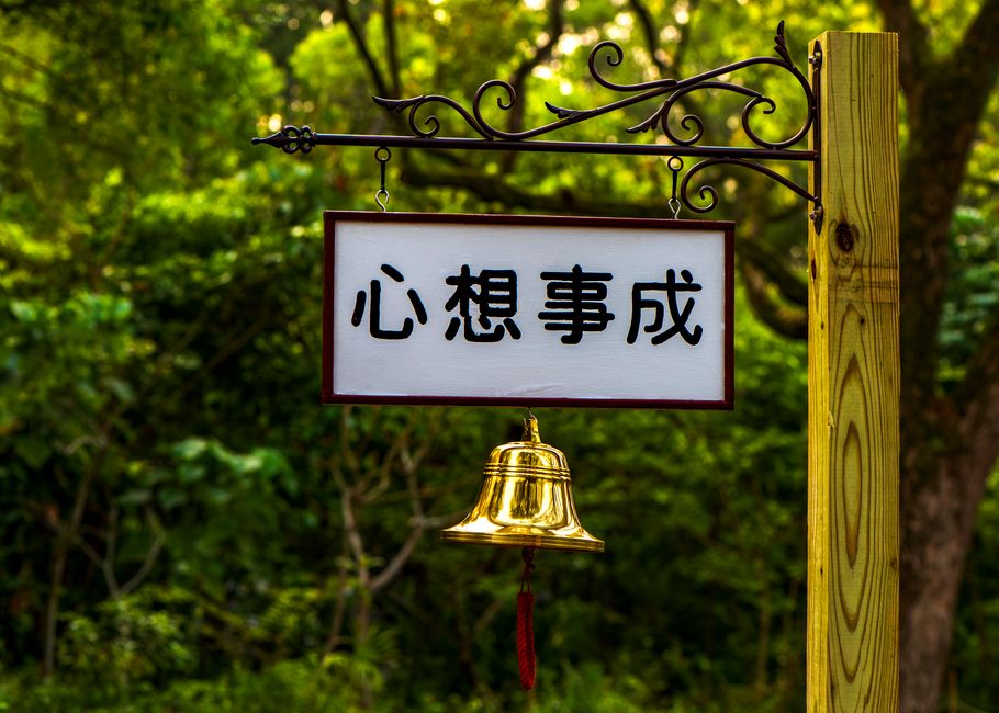 语言班选择决策树